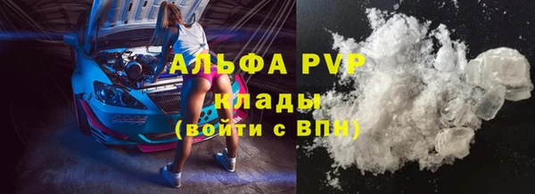 СК Арсеньев